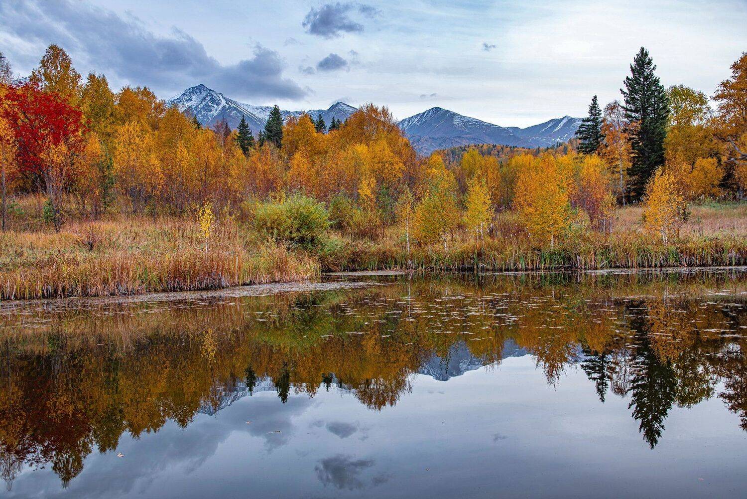 алтай. осень. горы., Евгений Дроботенко