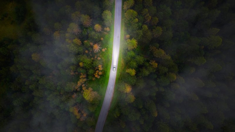 mood,landscape,forest,fog,photoshop,drone Alone фото превью