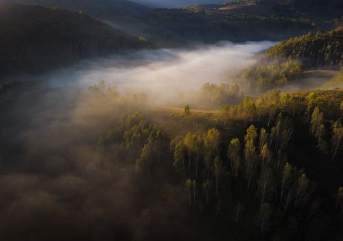 Autumn is Coming