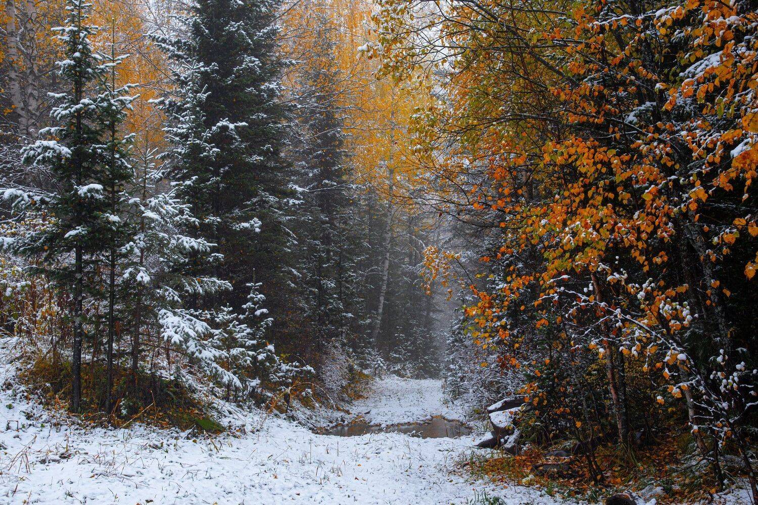 алтай. осень. горы., Евгений Дроботенко