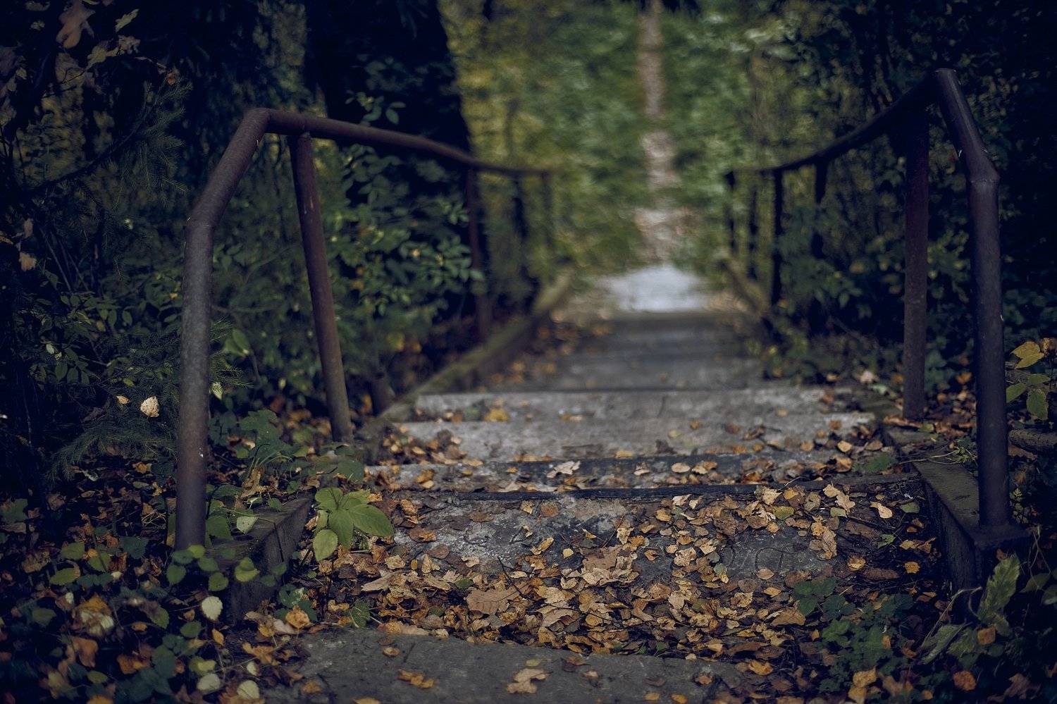 , Георгий Безбородов