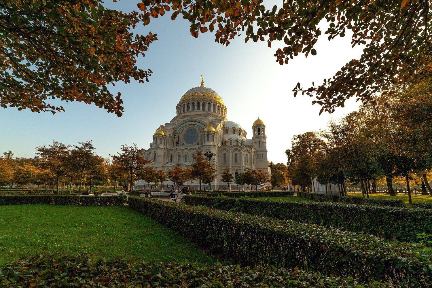 , Рут Андрей