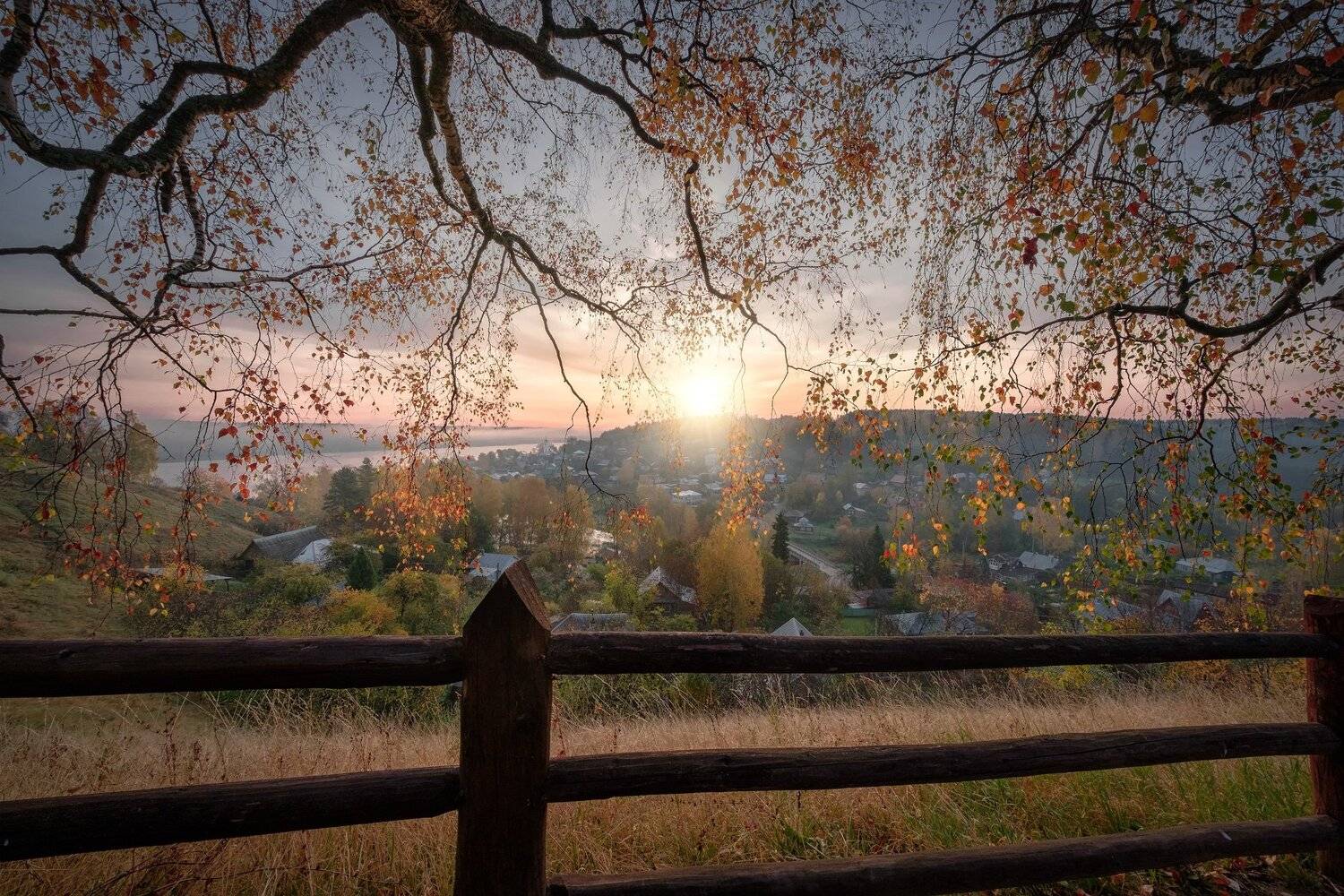 плес, утро, рассвет, березы, листья, золото, туман, солнце, левитан, Андрей Чиж