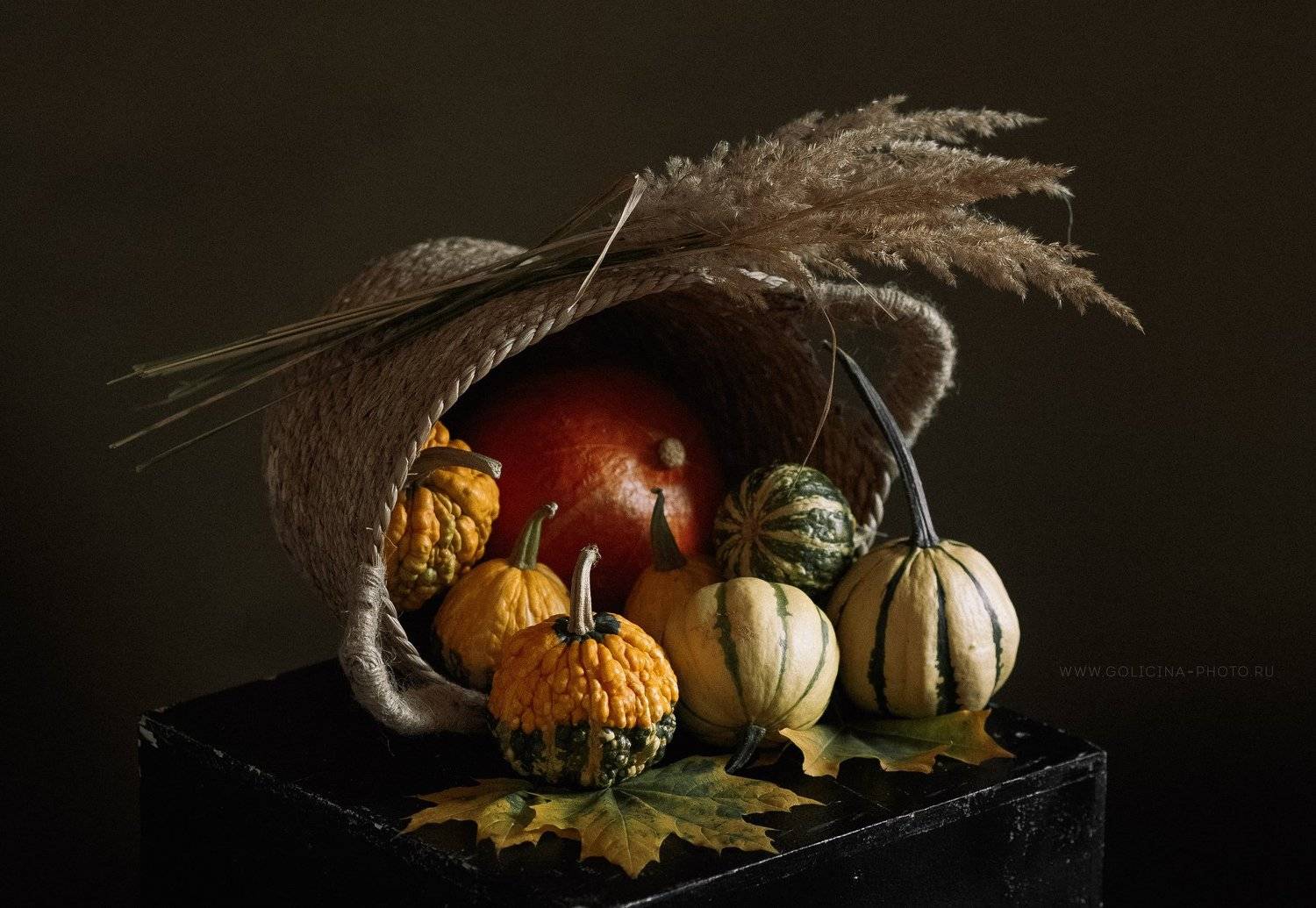 таквы корзина натюрморт, Svetlana Golicyna