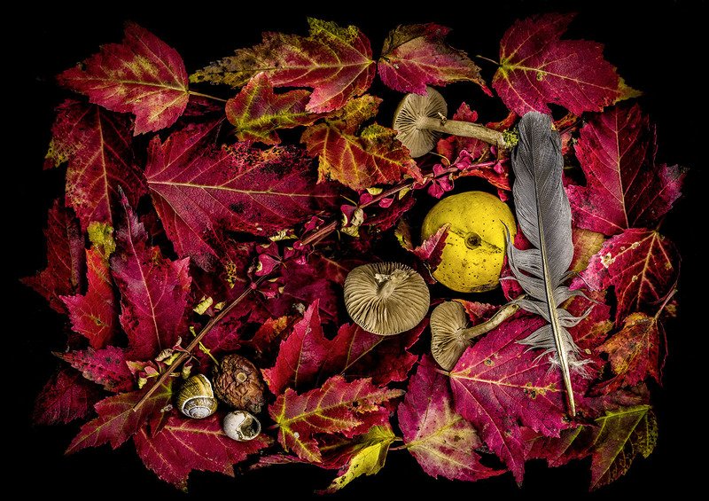 Indian Summer фото превью