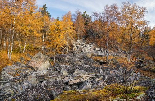 Когда золото превращалось в камни