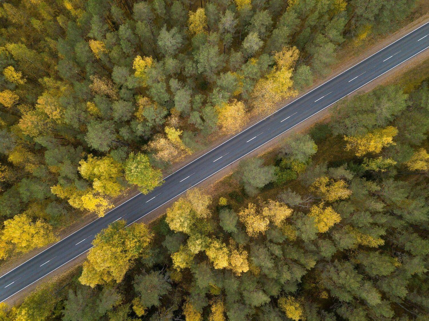 пейзаж , дрон,, Roman Dmitriev