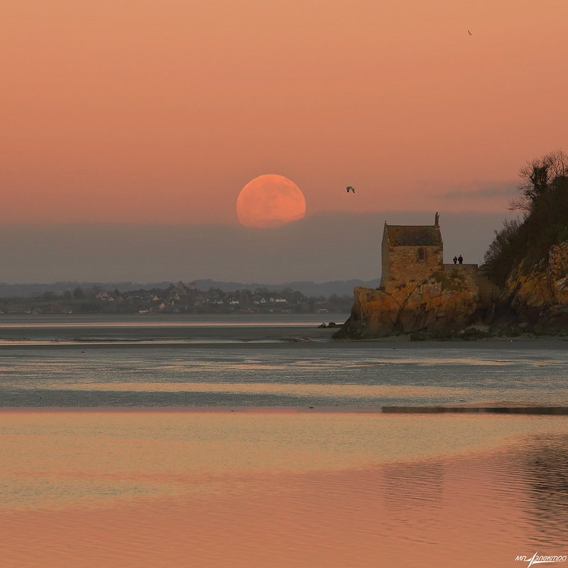 франция,mont saint-michel,france Двое.... фото превью