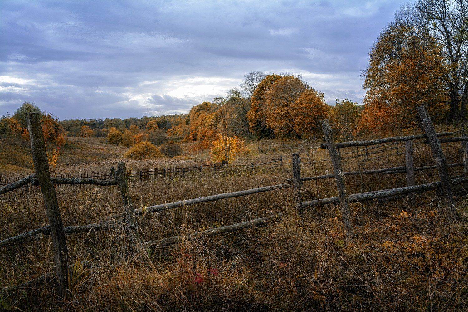 , Анатолий Зверев