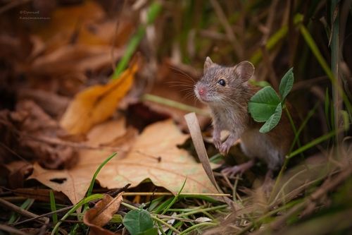 Осень, осень....