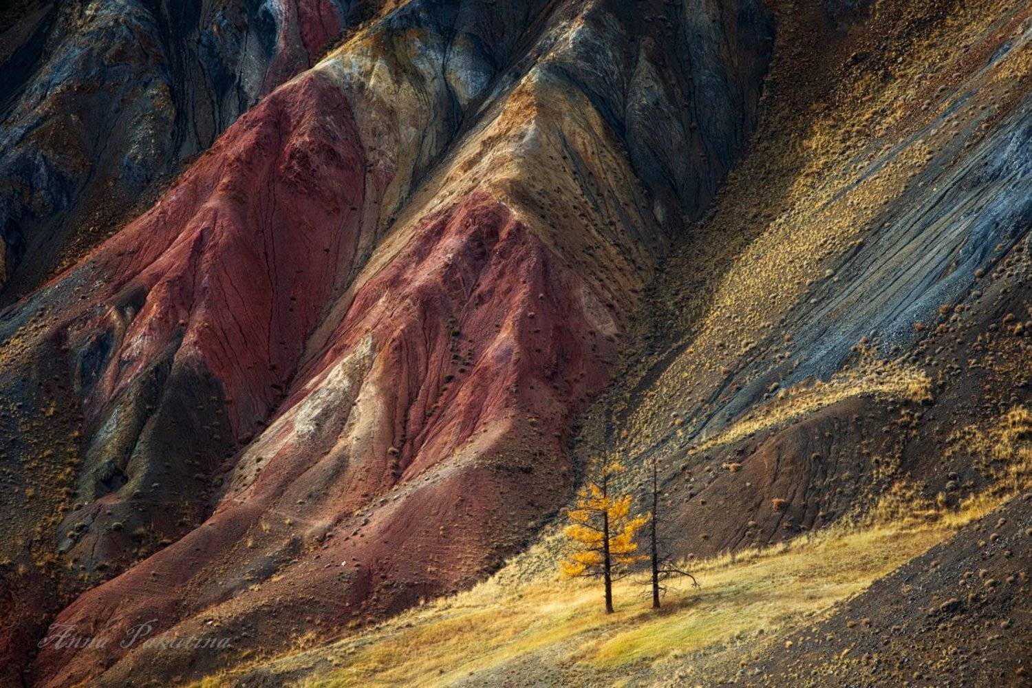 алтай, пейзаж, landscape, altai, Анна Пакутина