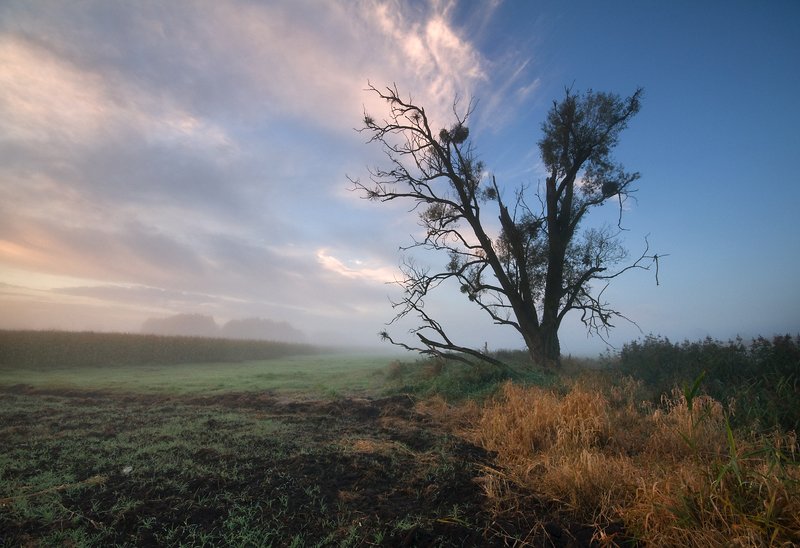 october morning... фото превью