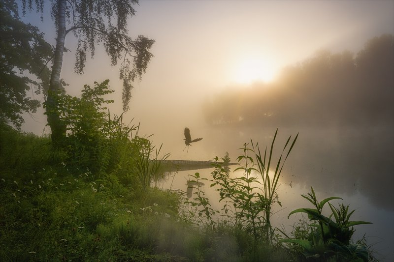 Улетай птичка... фото превью