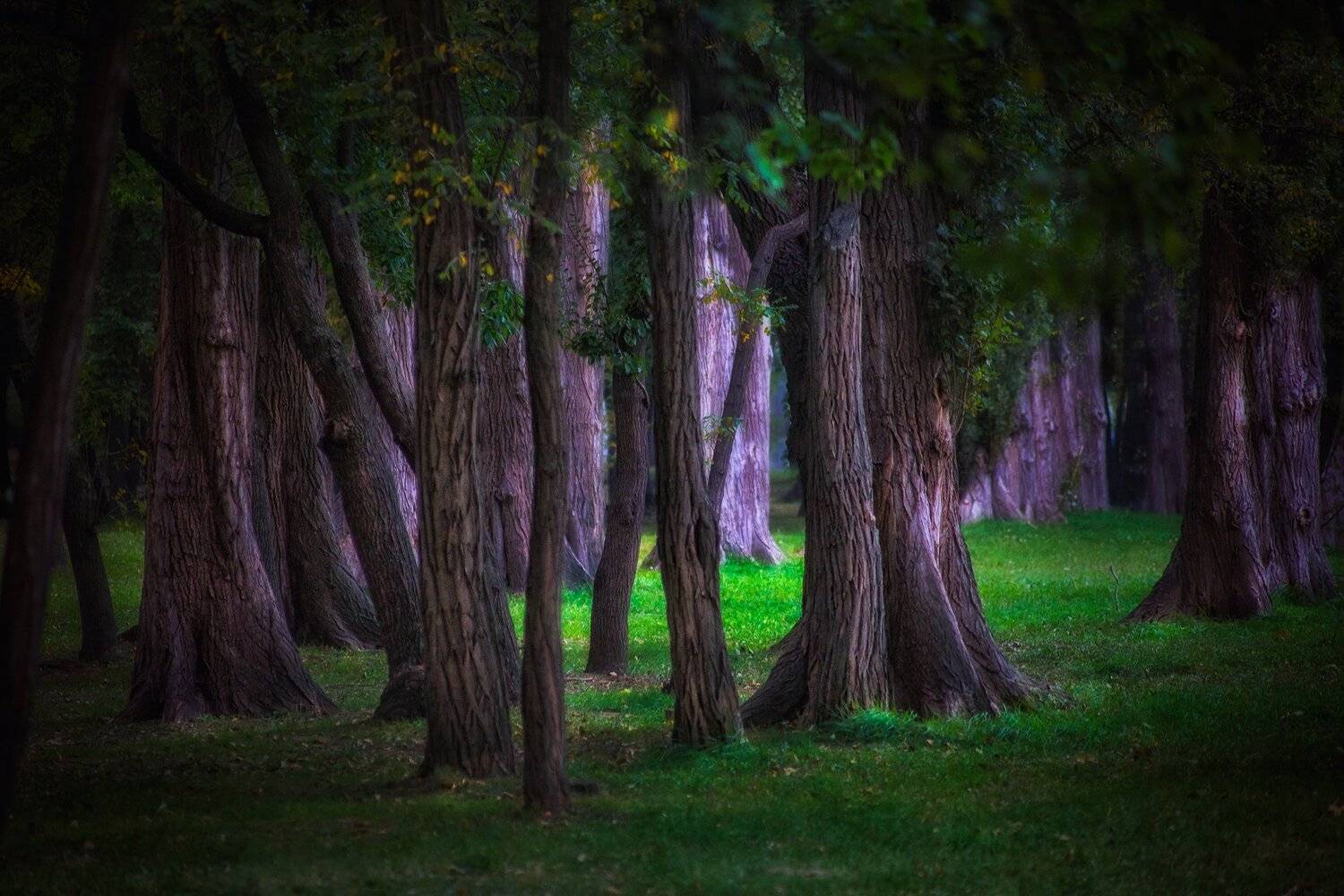 , Павел Сагайдак