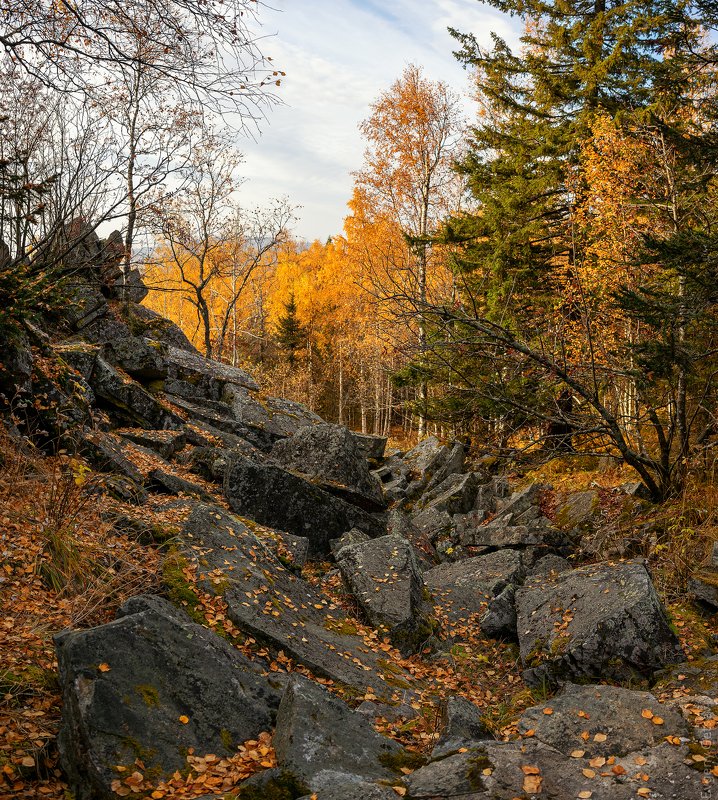 По следам золотой антилопы фото превью