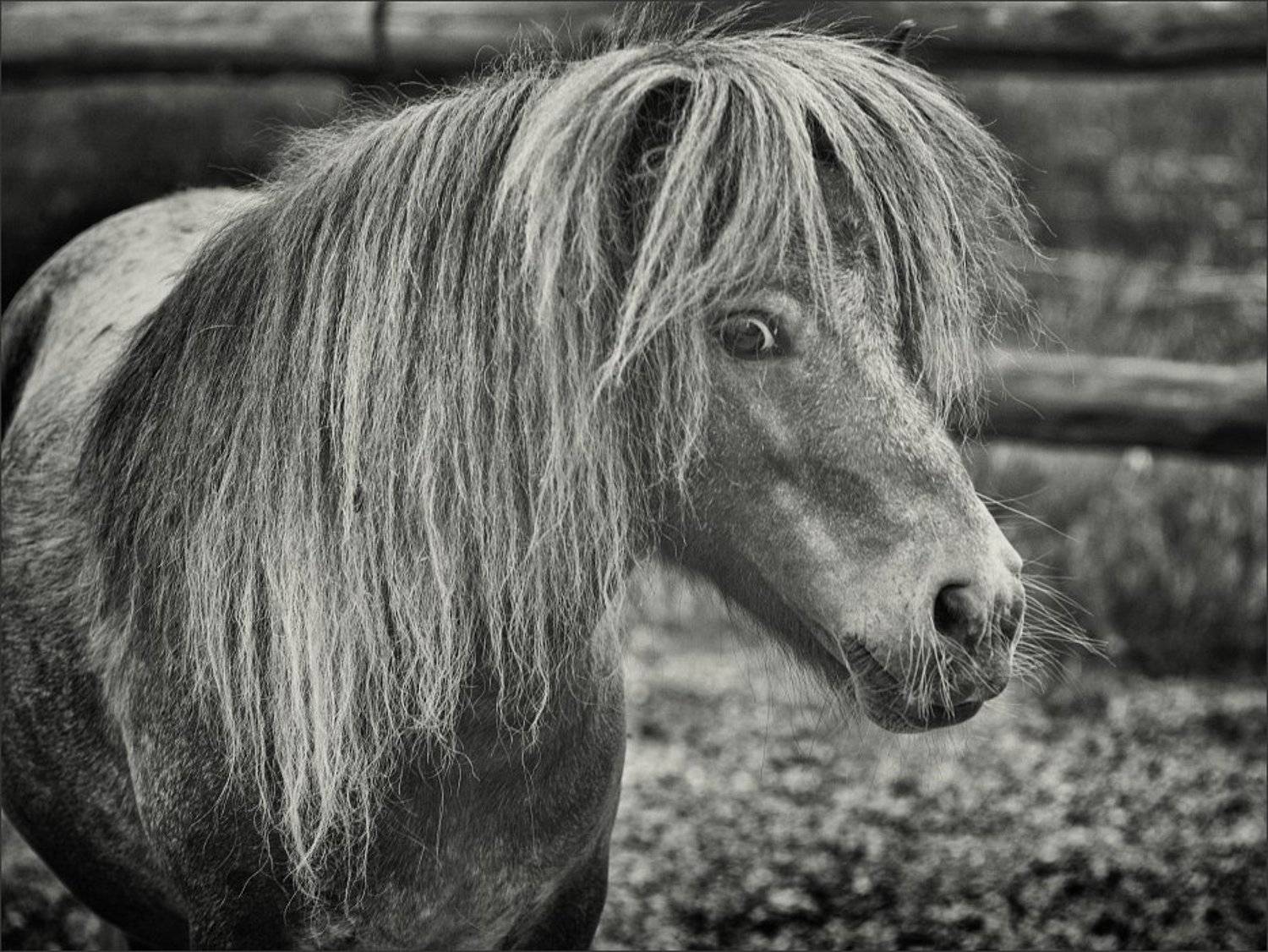 , Сергей Фудиненко