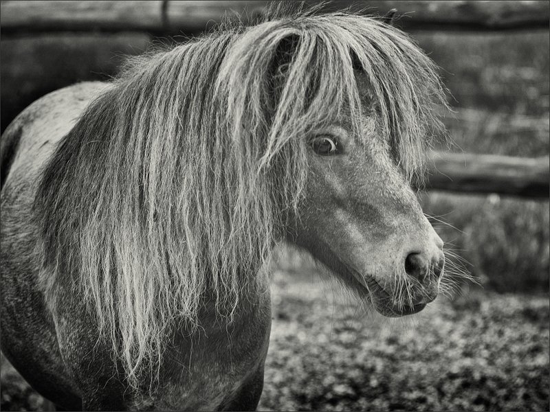 * фото превью