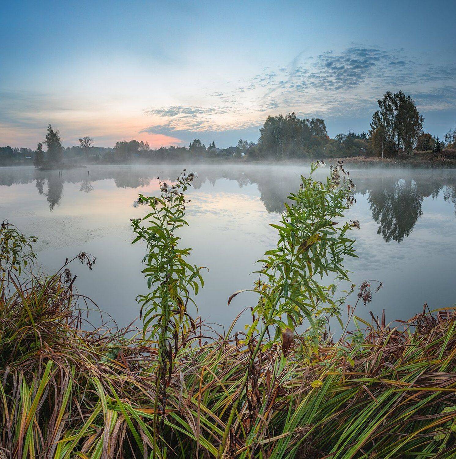 , Николай Андреев