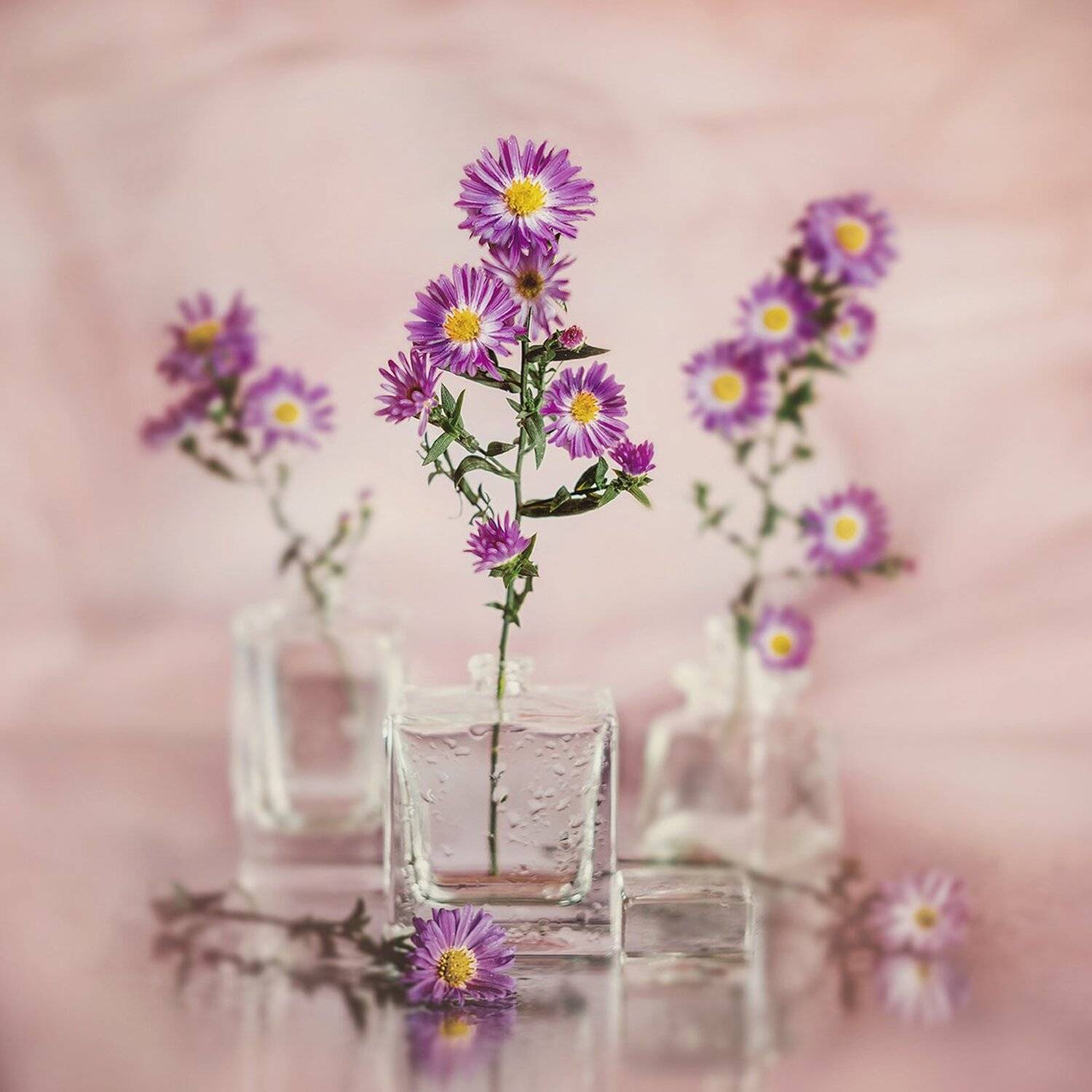 , MVO (Марк Орлов)