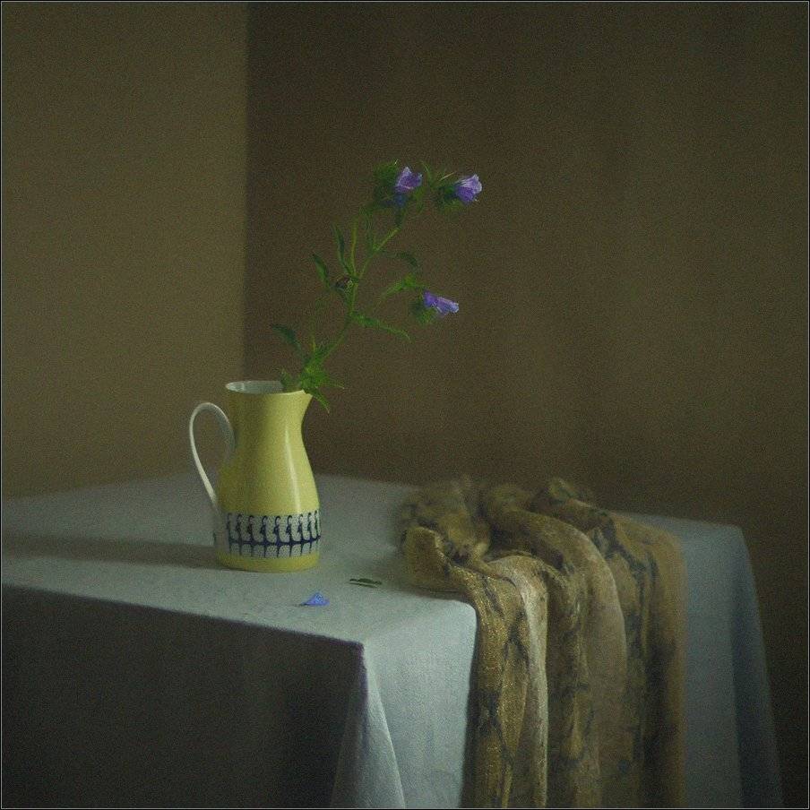 , Stein Georg