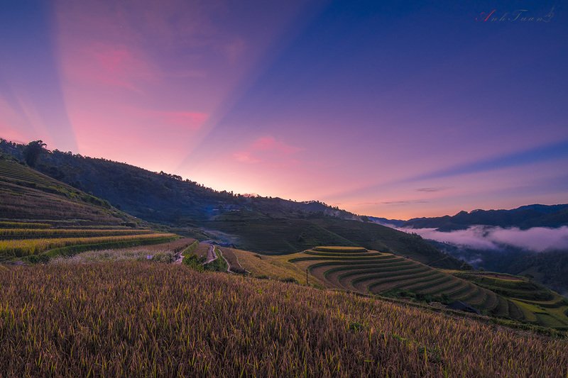 #sellingphoto #landscape.#sunset.#mucangchai La Pan Tan фото превью