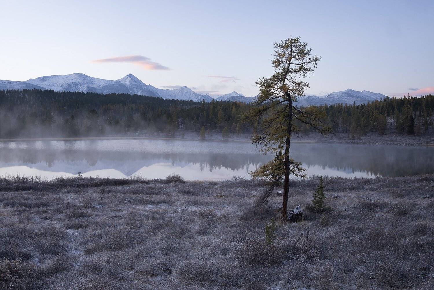 , Лещёнок Александр