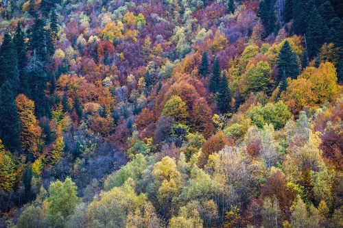 Осенняя палитра...