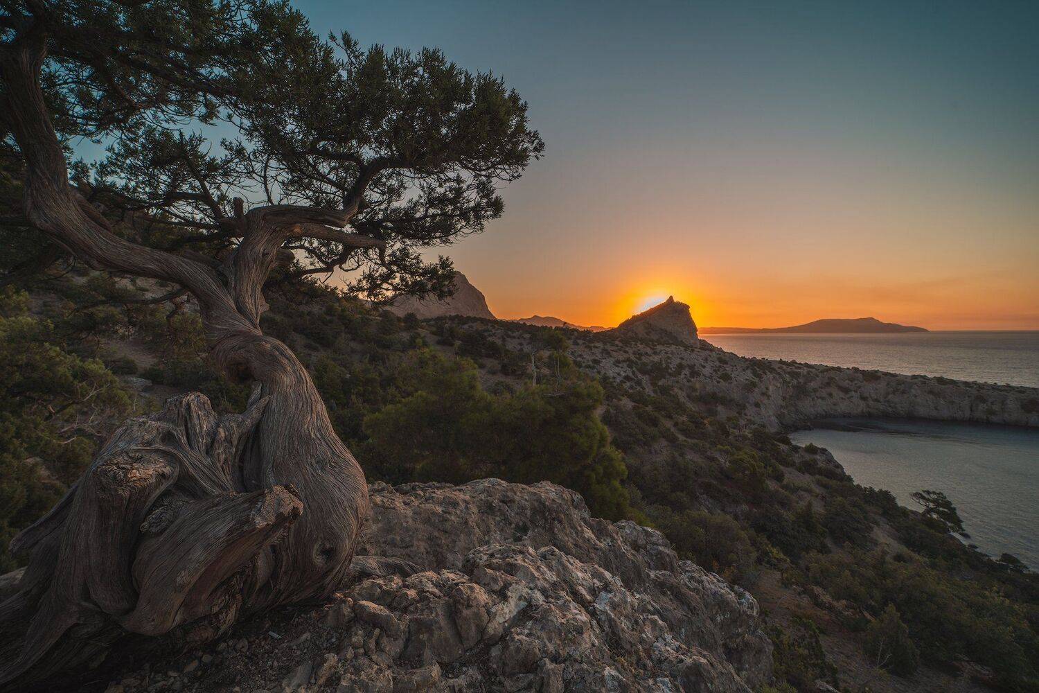 , Константин Дэм