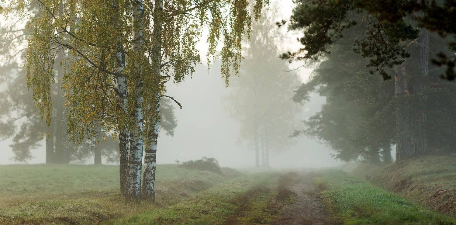 питер, павловскийпарк, павловск, Таня SHE (Aiya)