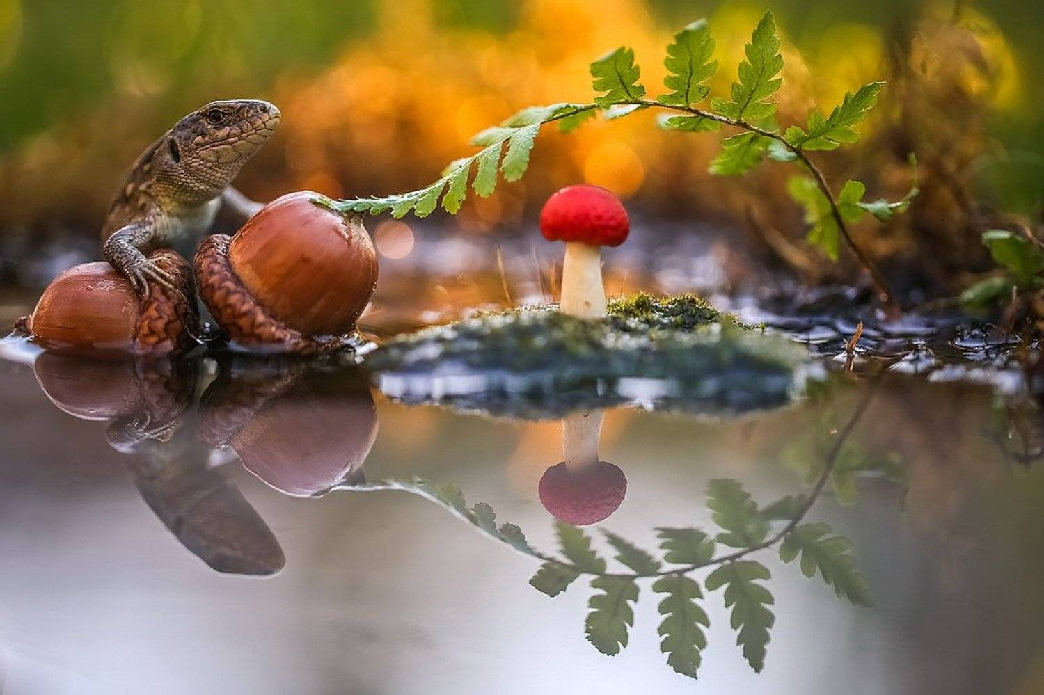 , Вячеслав Мищенко