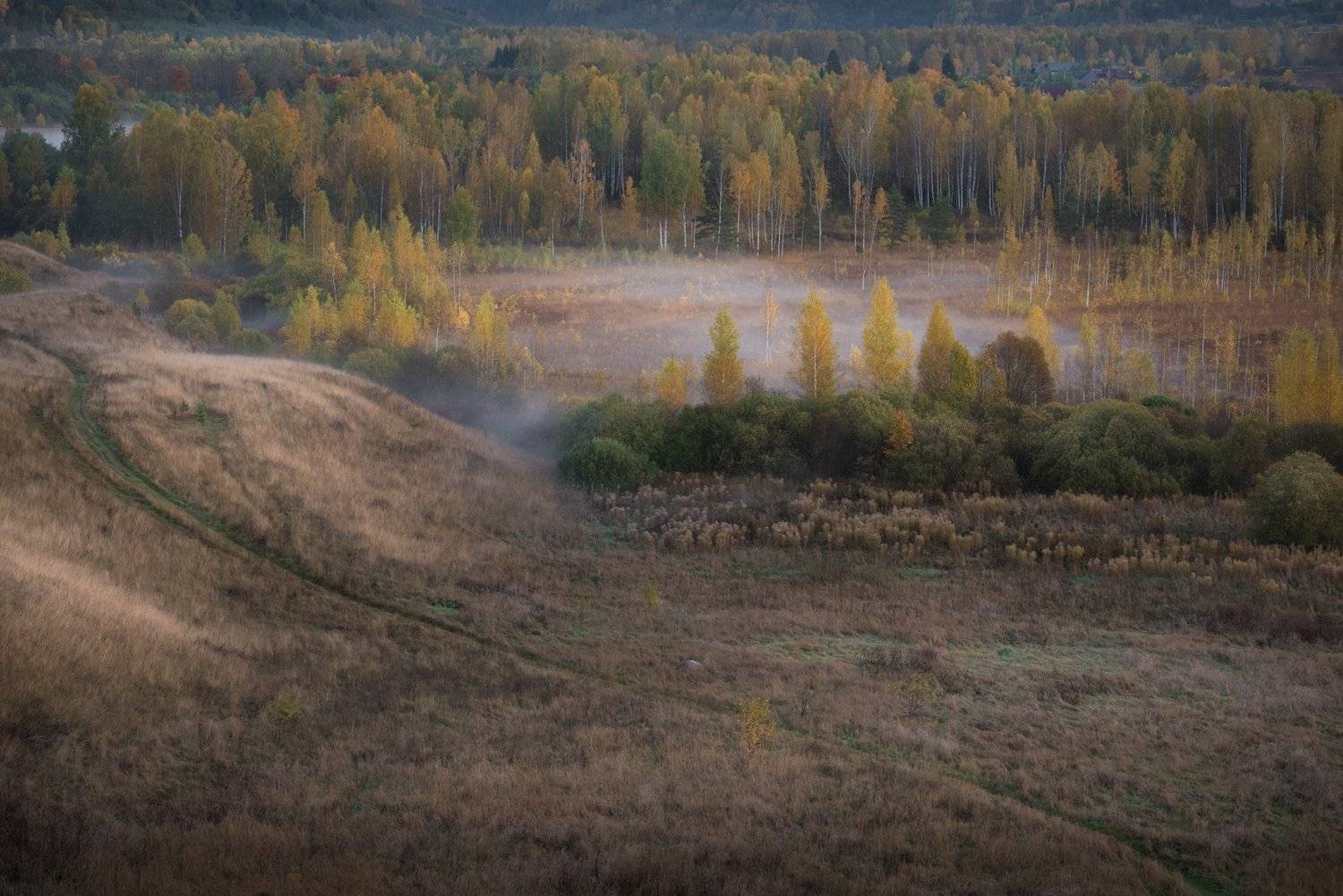 псковская область, изборск, туман, осень, октябрь, изборско-мальская долина,, Роман Фабричный