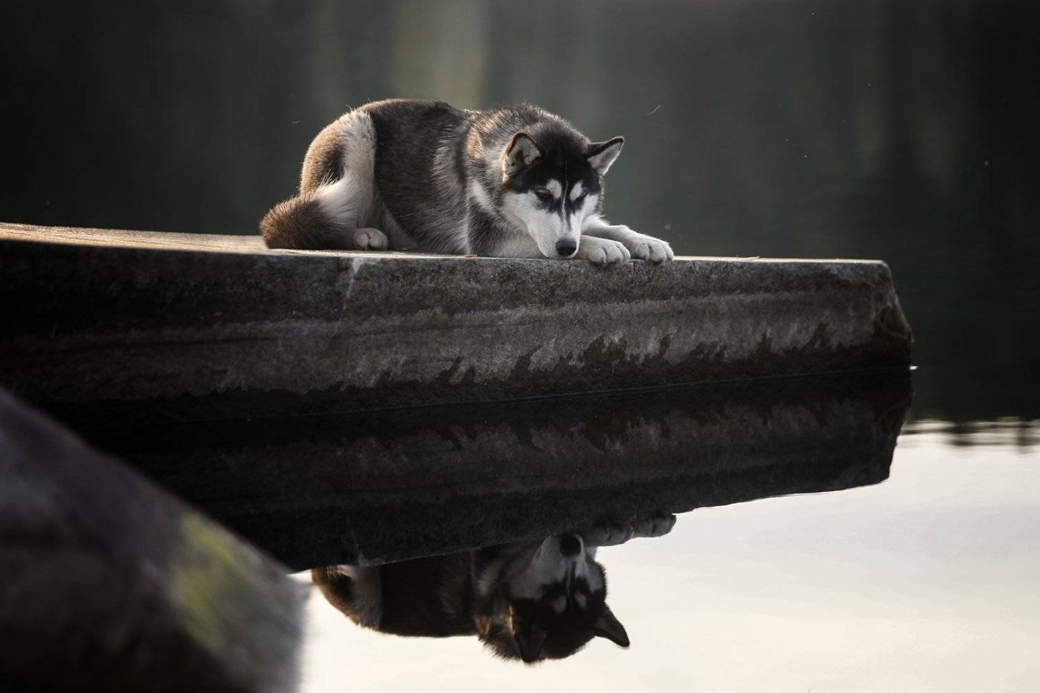 , Андрей Ершов