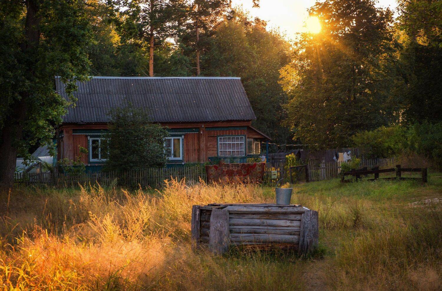 , Екатерина