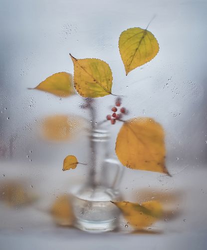 Осенний холодок...