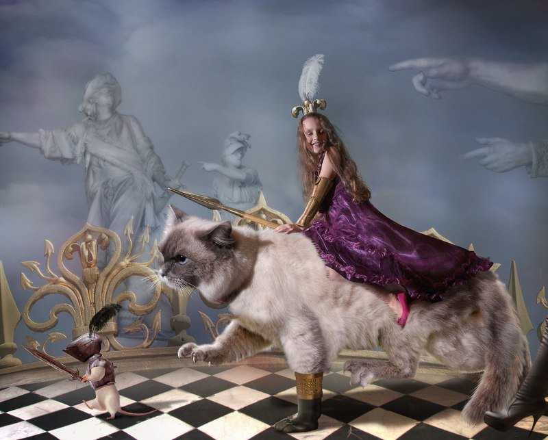 Принцесса едет на войну фото превью