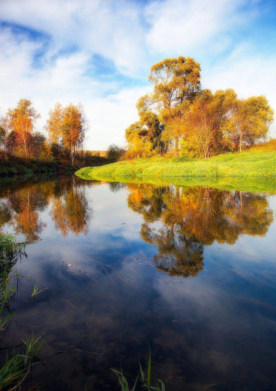 , Александр Аседач