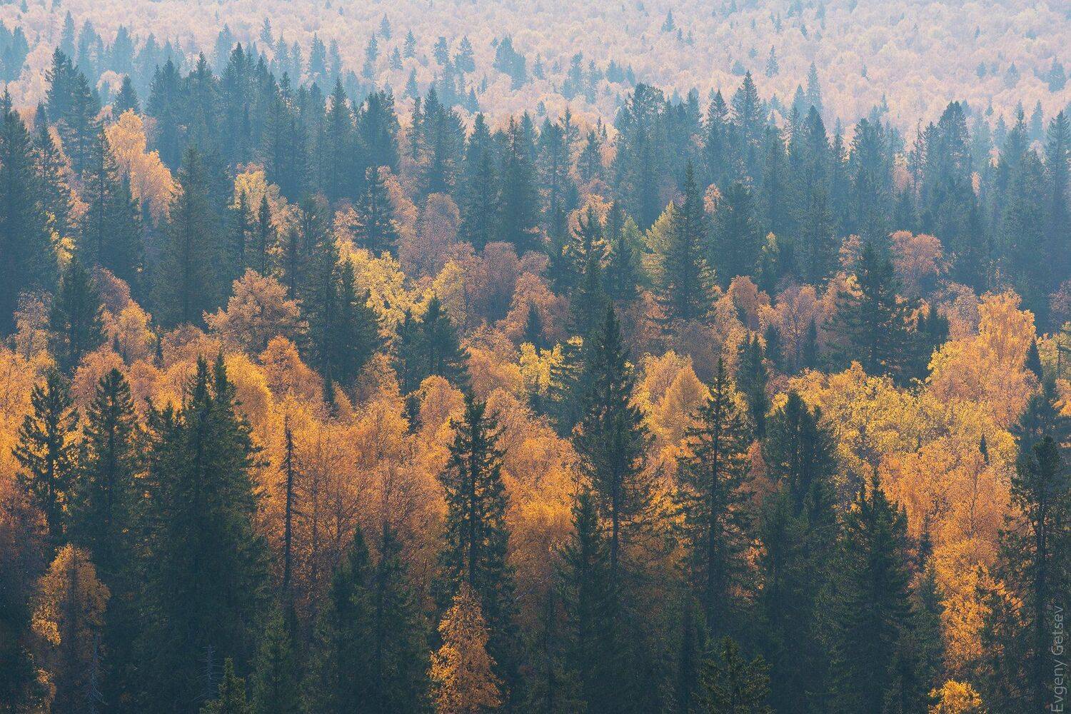 осень, лес, урал, таганай, Евгений Гецев
