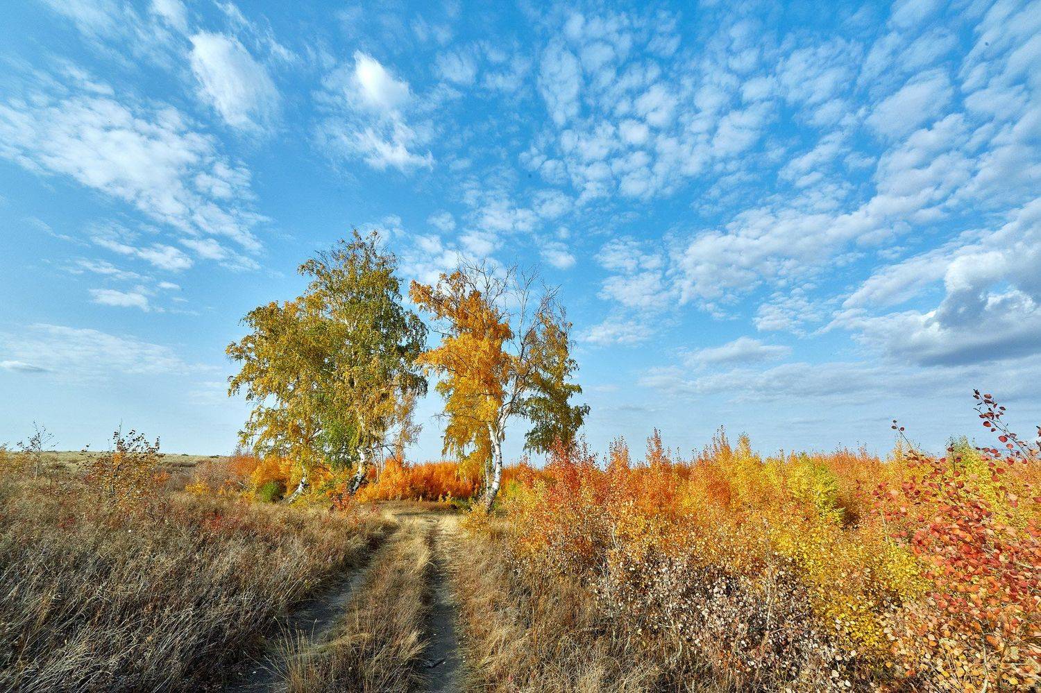южный урал,оренбургская область, орск, новотроицк,, Качурин Алексей