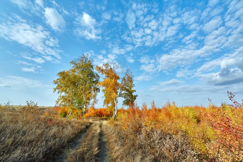 южный урал,оренбургская область, орск, новотроицк, Осень на Южном Урале фото превью