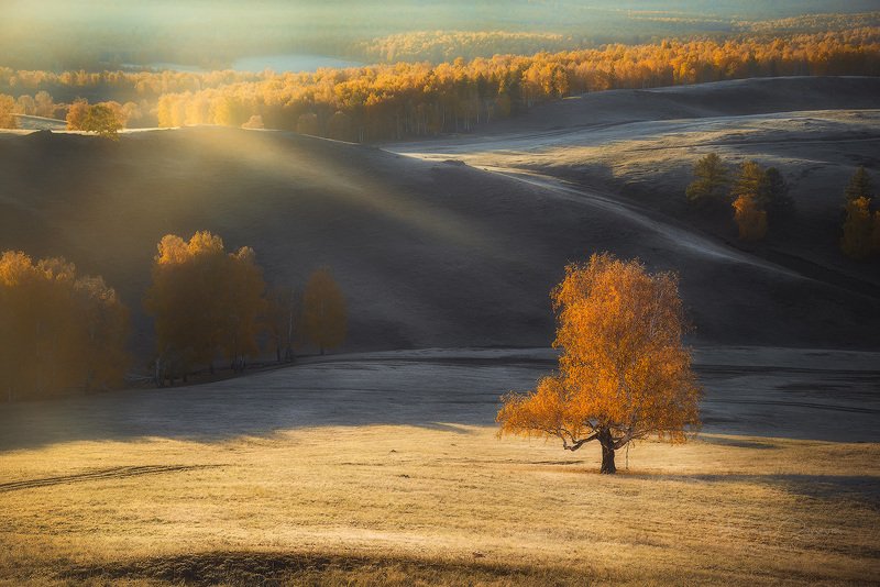 Осень фото превью