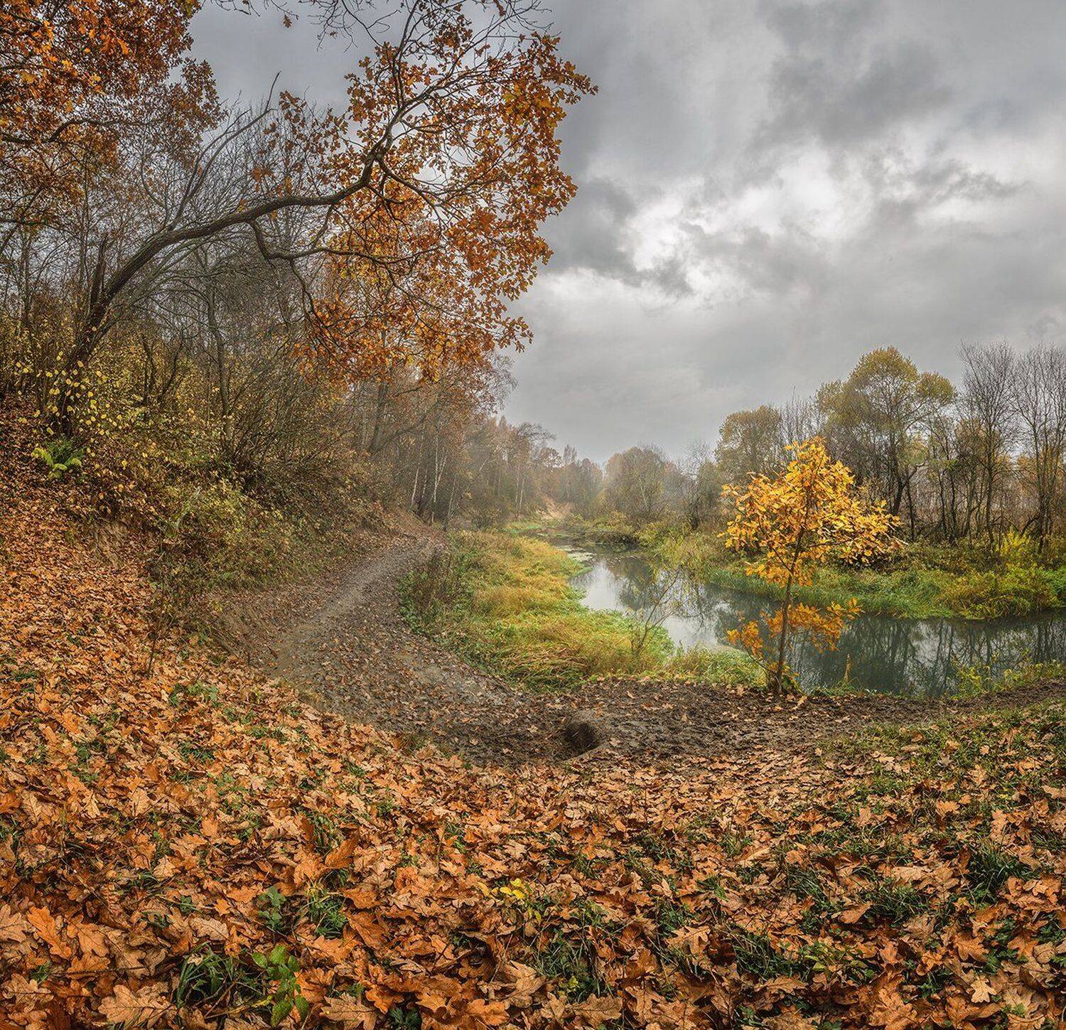 , Николай Андреев