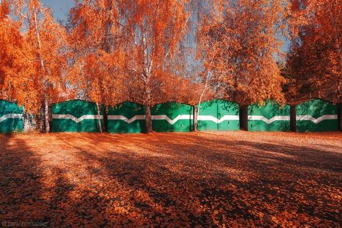 Осень в Омске