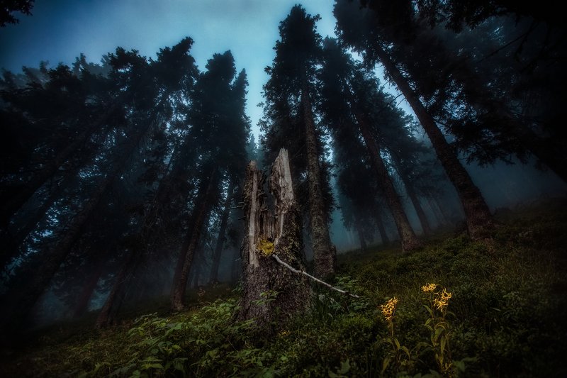 How small we are фото превью