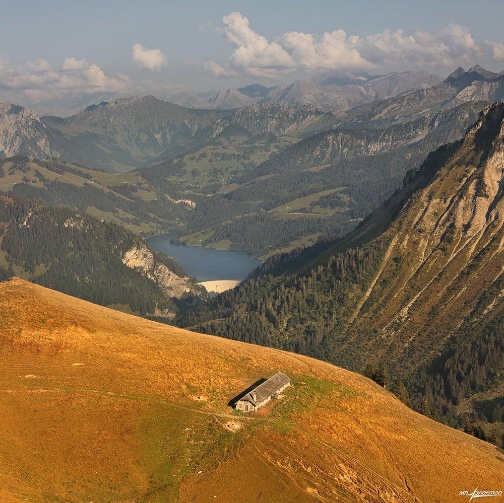 swiss, Матвеев Николай
