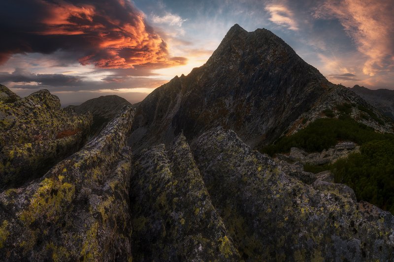 Power convergence фото превью