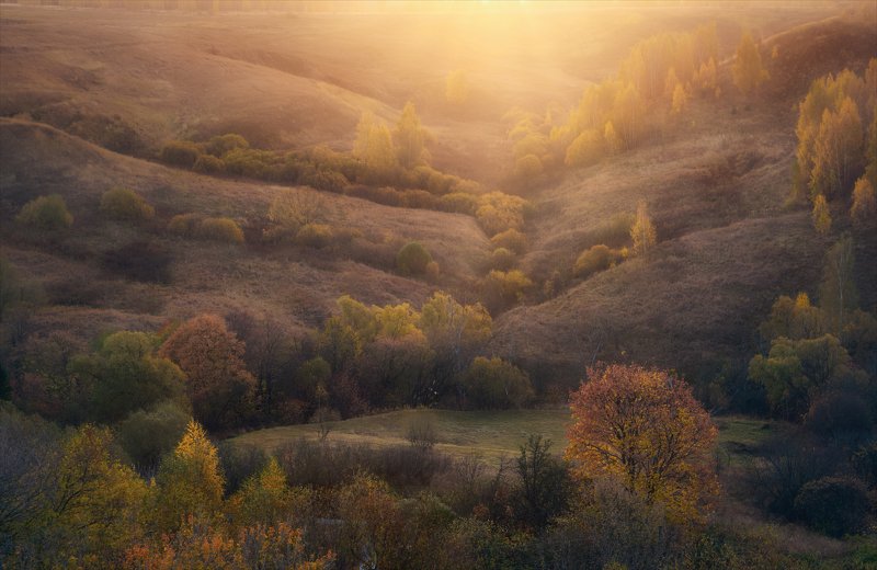 Пронские рассветы. фото превью