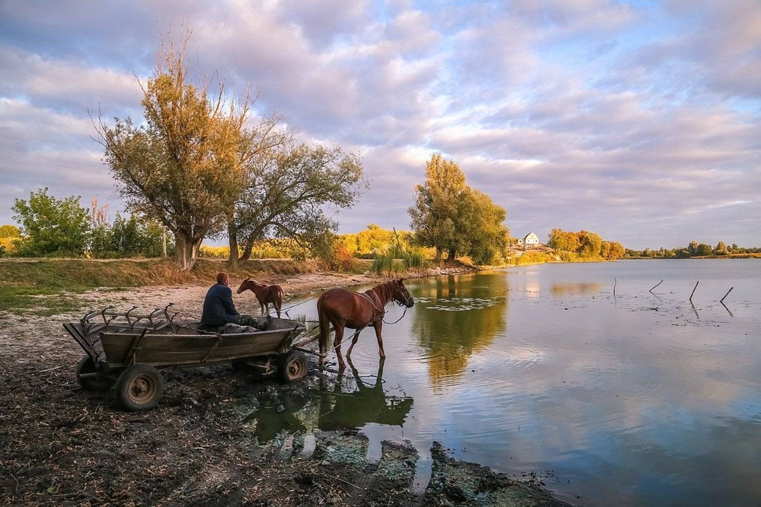 , Вячеслав Мищенко