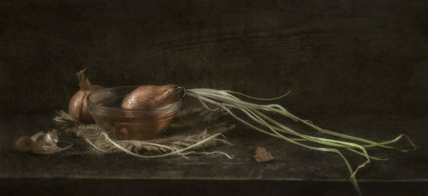 вода,тёмный,лук,деревяный, Владимир Володин