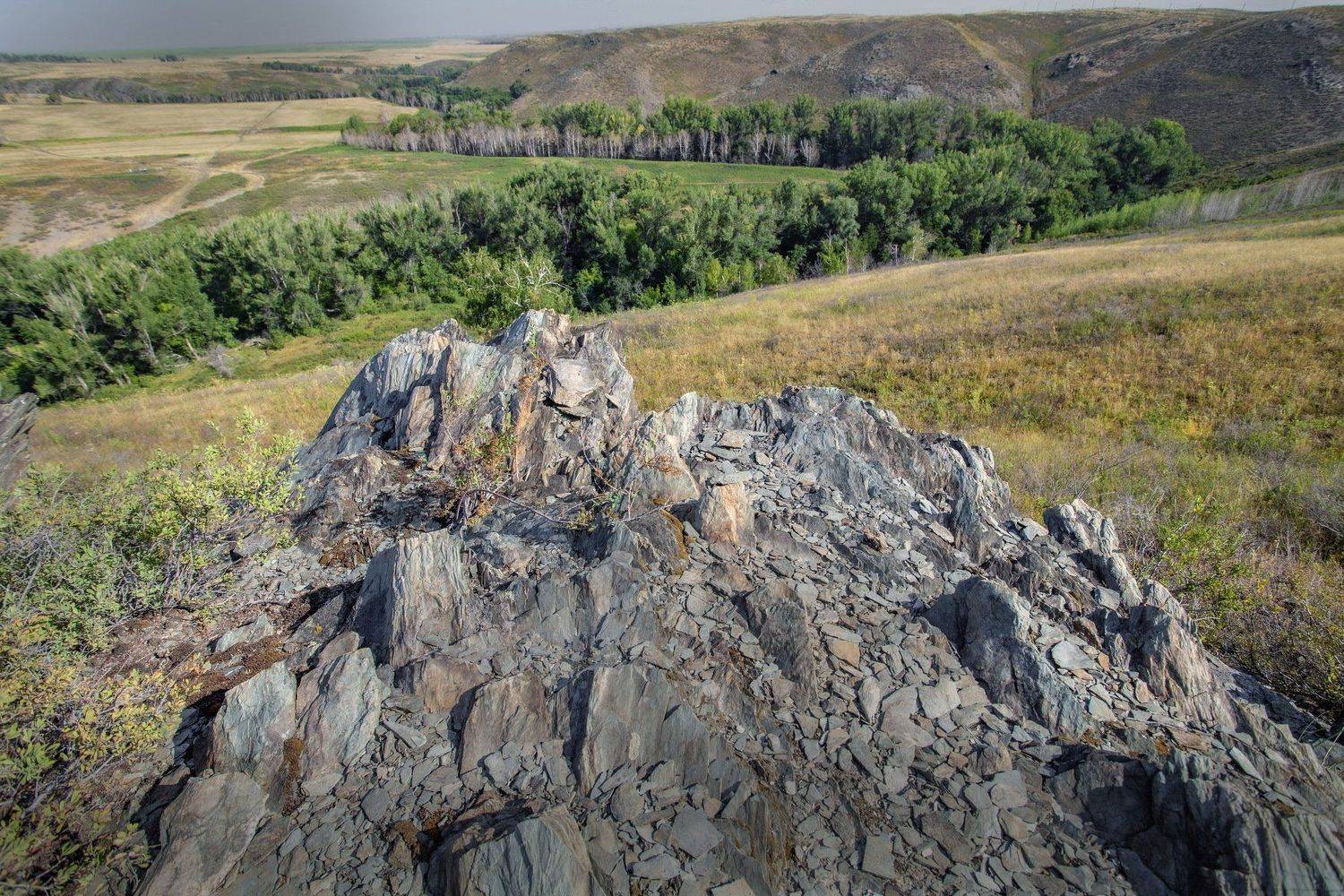 , петр чиков