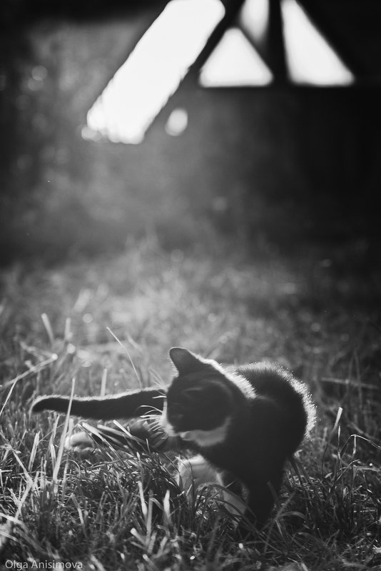 деревня репортаж улица \